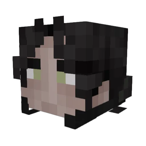 _Sug Minecraft avatar head, 3D render
