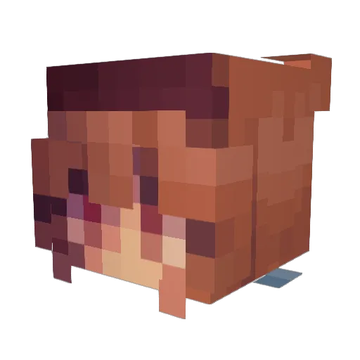 _Suitable Minecraft avatar head, 3D render
