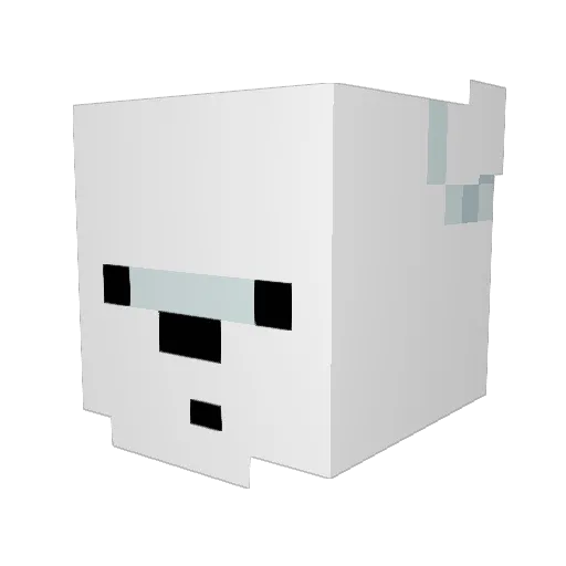 _Sully0 Minecraft avatar head, 3D render