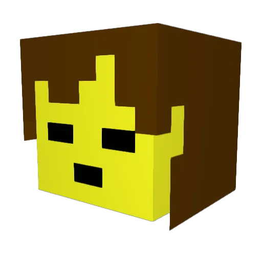 _Summercool Minecraft avatar head, 3D render