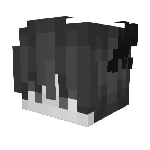 _SunnySide_ Minecraft avatar head, 3D render