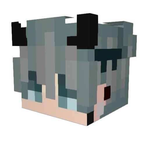 _SunnyTheDuck_ Minecraft avatar head, 3D render