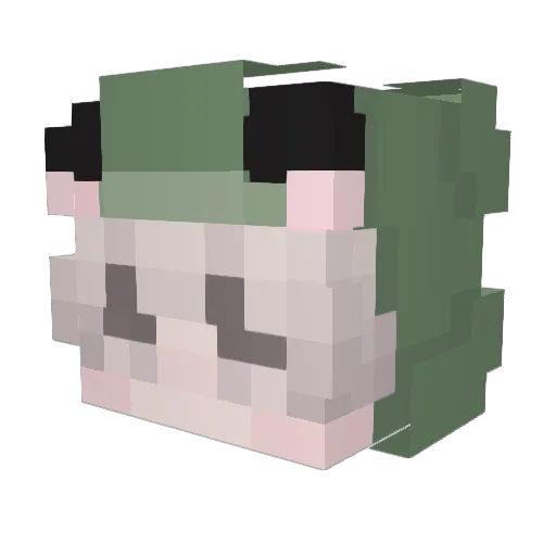 _Sunshiiine Minecraft avatar head, 3D render