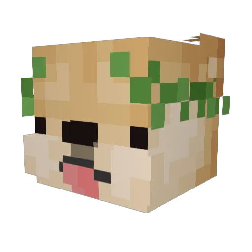 _SuperGuy Minecraft avatar head, 3D render