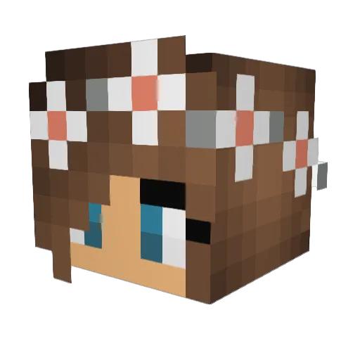 _Super_Girl1 Minecraft avatar head, 3D render