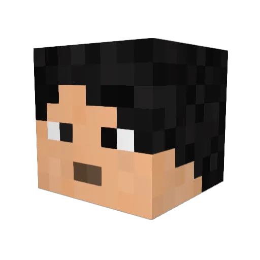 _Suya_ Minecraft avatar head, 3D render