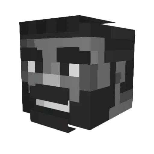 _Sw1let Minecraft avatar head, 3D render