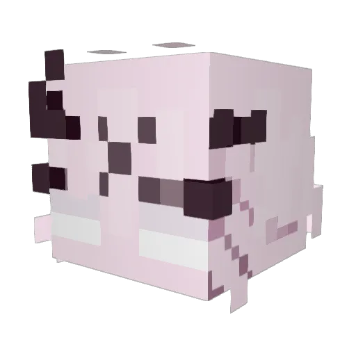_Sw47 Minecraft avatar head, 3D render