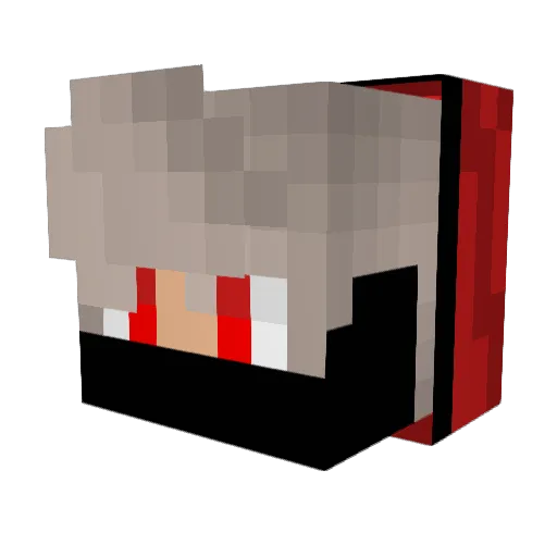 _SwenzyTR_ Minecraft avatar head, 3D render