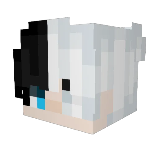 _Swiftyz_ Minecraft avatar head, 3D render