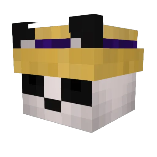 _SwitchBeach_ Minecraft avatar head, 3D render