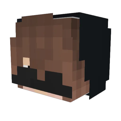 _SxcideChantal_ Minecraft avatar head, 3D render