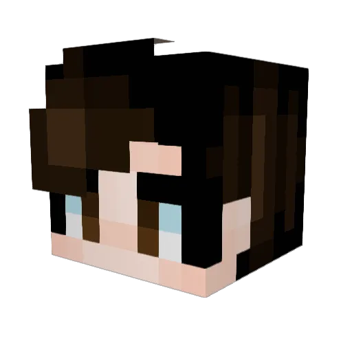 _T0n3_ Minecraft avatar head, 3D render