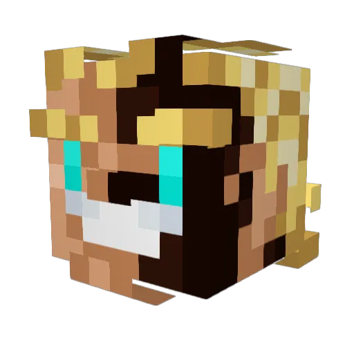 _T422_ Minecraft avatar head, 3D render
