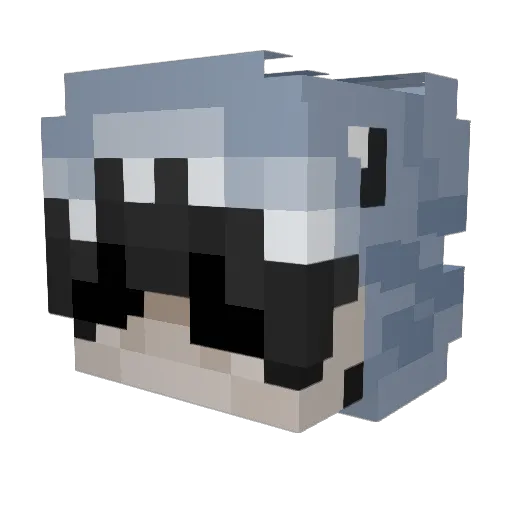 _T4SHI_ Minecraft avatar head, 3D render