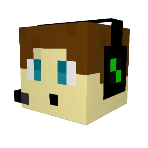 _TEGamer_ Minecraft avatar head, 3D render
