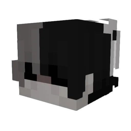 _THGamer2OO2_ Minecraft avatar head, 3D render
