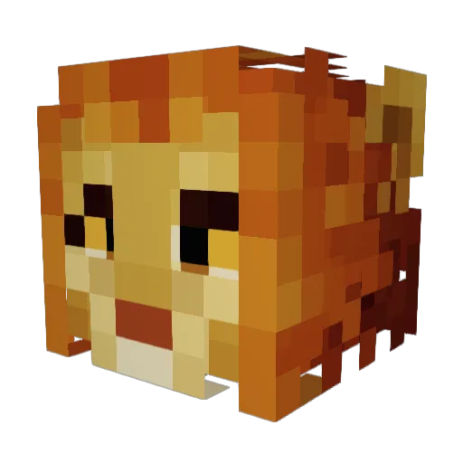 _THUNDERLION_ Minecraft avatar head, 3D render