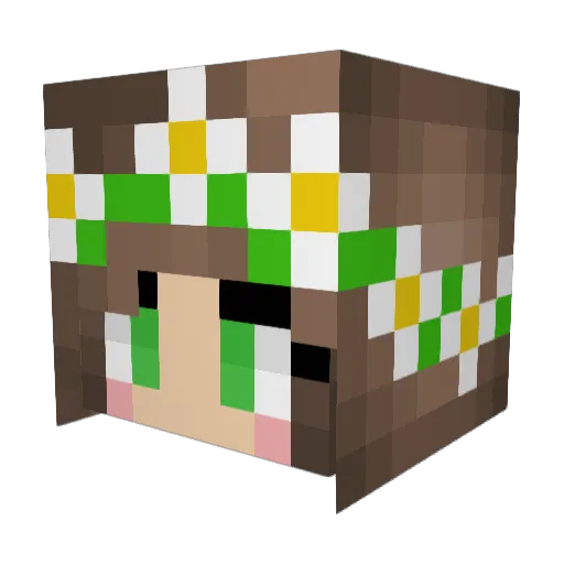_TIAM_ Minecraft avatar head, 3D render