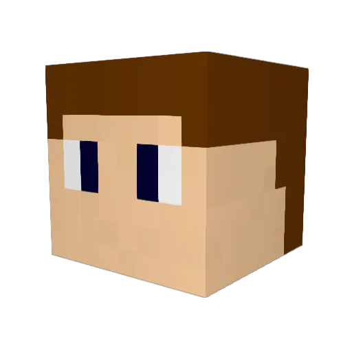_TO0n_ Minecraft avatar head, 3D render