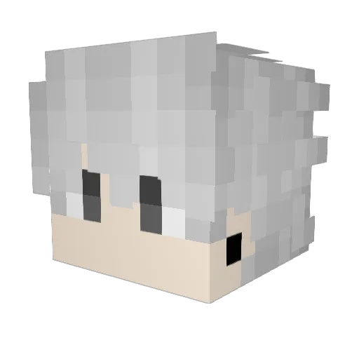 _TWD_KIL Minecraft avatar head, 3D render