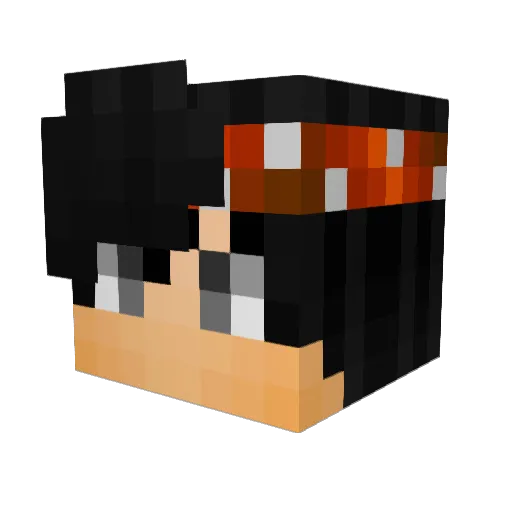 _TWG Minecraft avatar head, 3D render