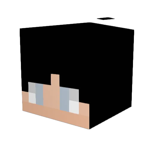_Tacena_ Minecraft avatar head, 3D render
