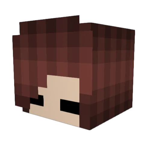 _Taco_Bell_ Minecraft avatar head, 3D render