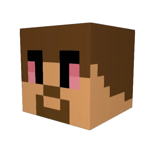 _Taco_Tuesday_ Minecraft avatar head, 3D render