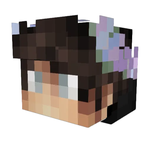 _Tacos_ Minecraft avatar head, 3D render