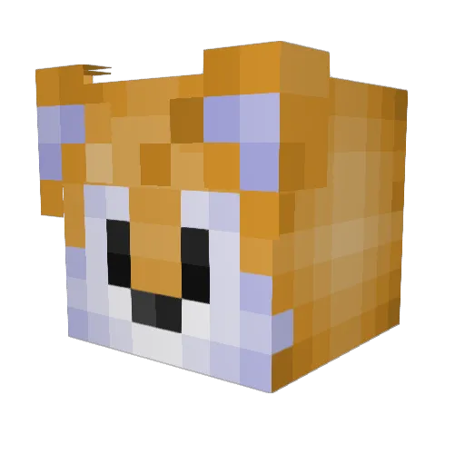 _TailsUWU Minecraft avatar head, 3D render