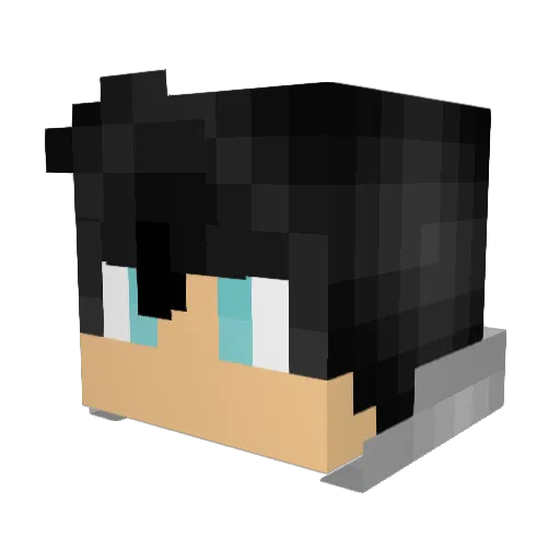 _TallMidget Minecraft avatar head, 3D render