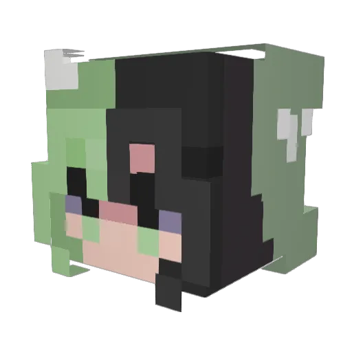 _TallyMarks_ Minecraft avatar head, 3D render