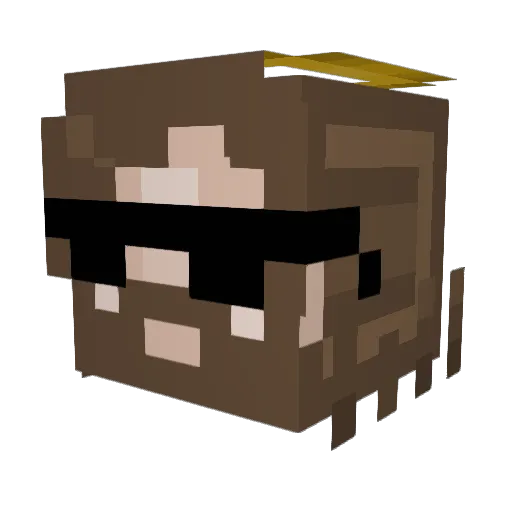 _TameImpala_ Minecraft avatar head, 3D render