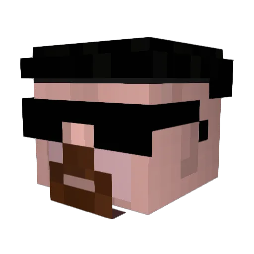 _TangibleWhale_ Minecraft avatar head, 3D render