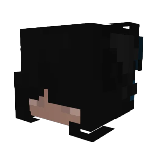 _Tape__ Minecraft avatar head, 3D render
