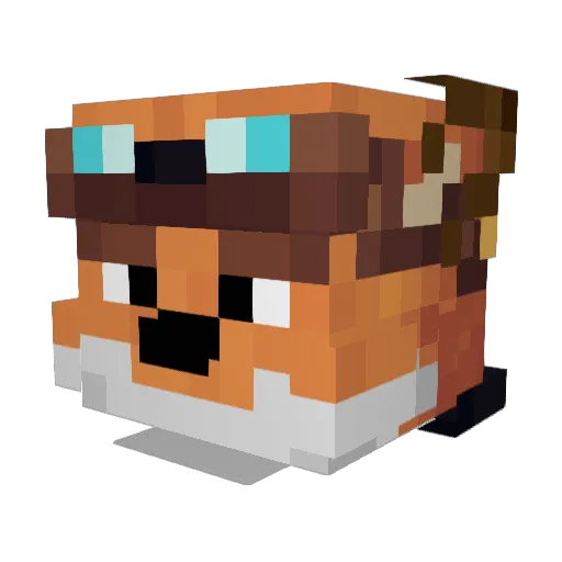 _Tarin Minecraft avatar head, 3D render