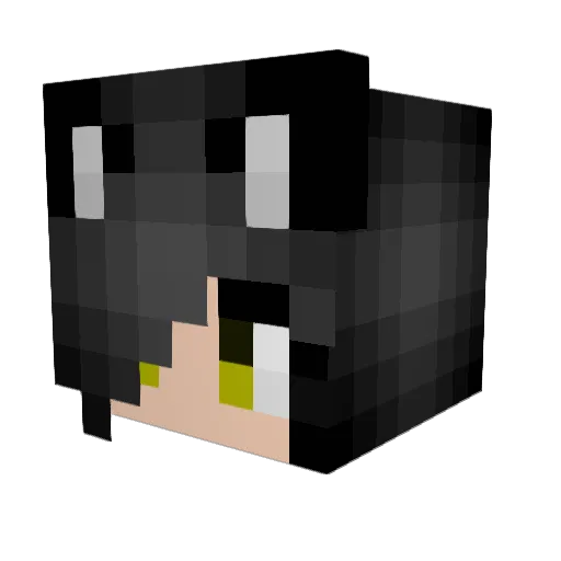 _Tashina_ Minecraft avatar head, 3D render