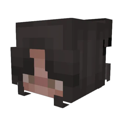 _Tayla Minecraft avatar head, 3D render