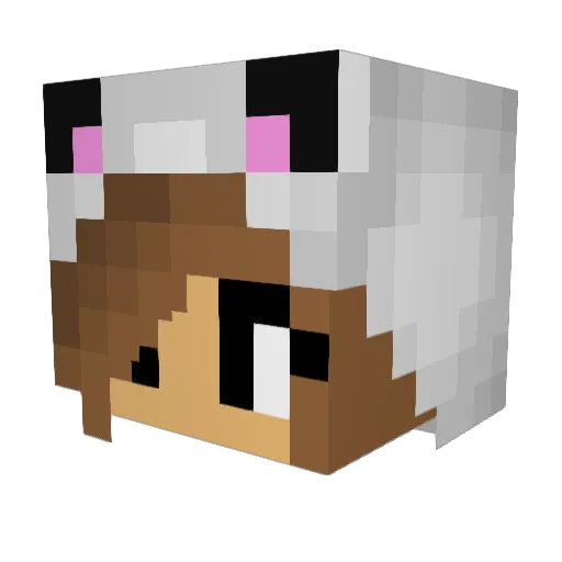 _Taylor_Belle_ Minecraft avatar head, 3D render