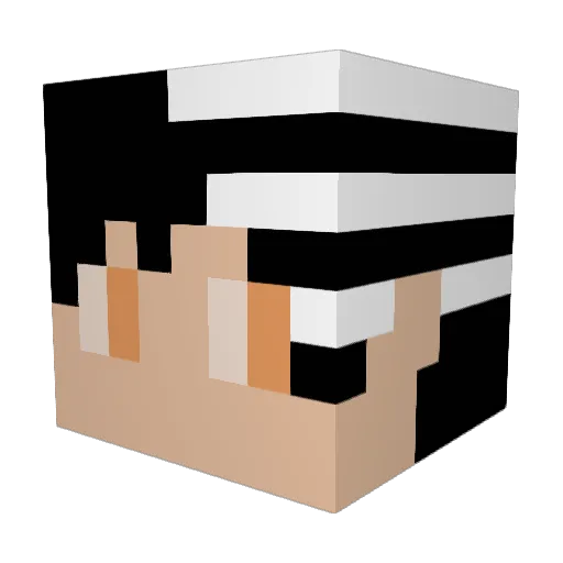 _Tayp Minecraft avatar head, 3D render