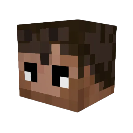_Teast_ Minecraft avatar head, 3D render