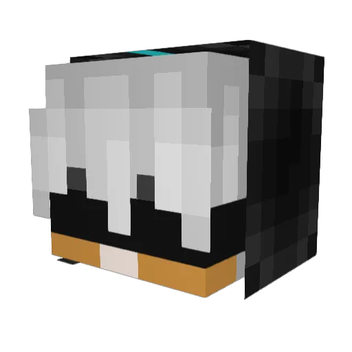 _Techo2 Minecraft avatar head, 3D render