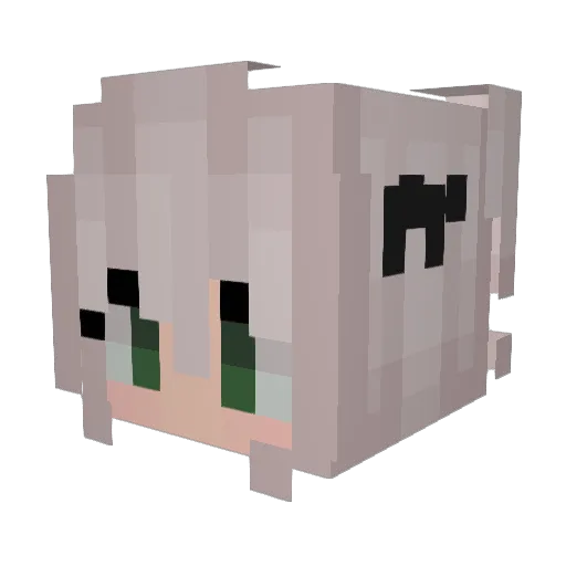 _Tedd1e_ Minecraft avatar head, 3D render