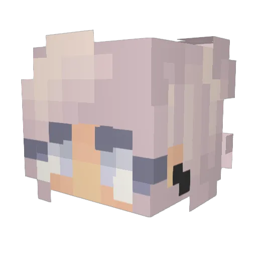 _Teddy_Westside_ Minecraft avatar head, 3D render