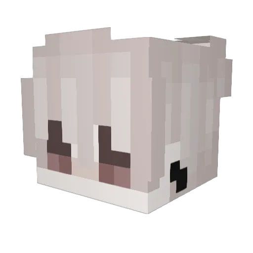 _Teddyy Minecraft avatar head, 3D render