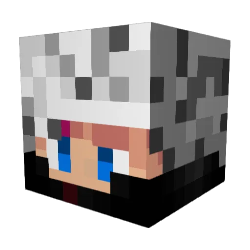 _Teimo_ Minecraft avatar head, 3D render