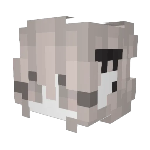 _TellMeWhy Minecraft avatar head, 3D render