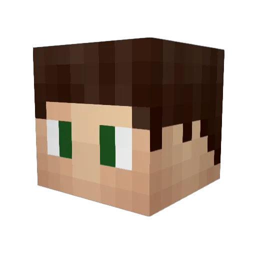_TenS_ Minecraft avatar head, 3D render