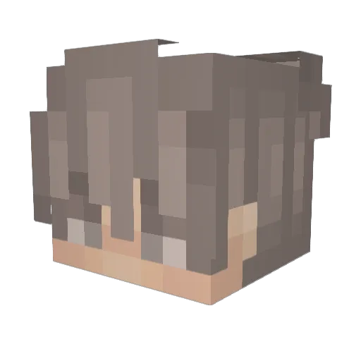 _Tera_MC Minecraft avatar head, 3D render